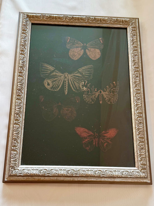 Decorative framed picture with butterfly illustrations on a dark background