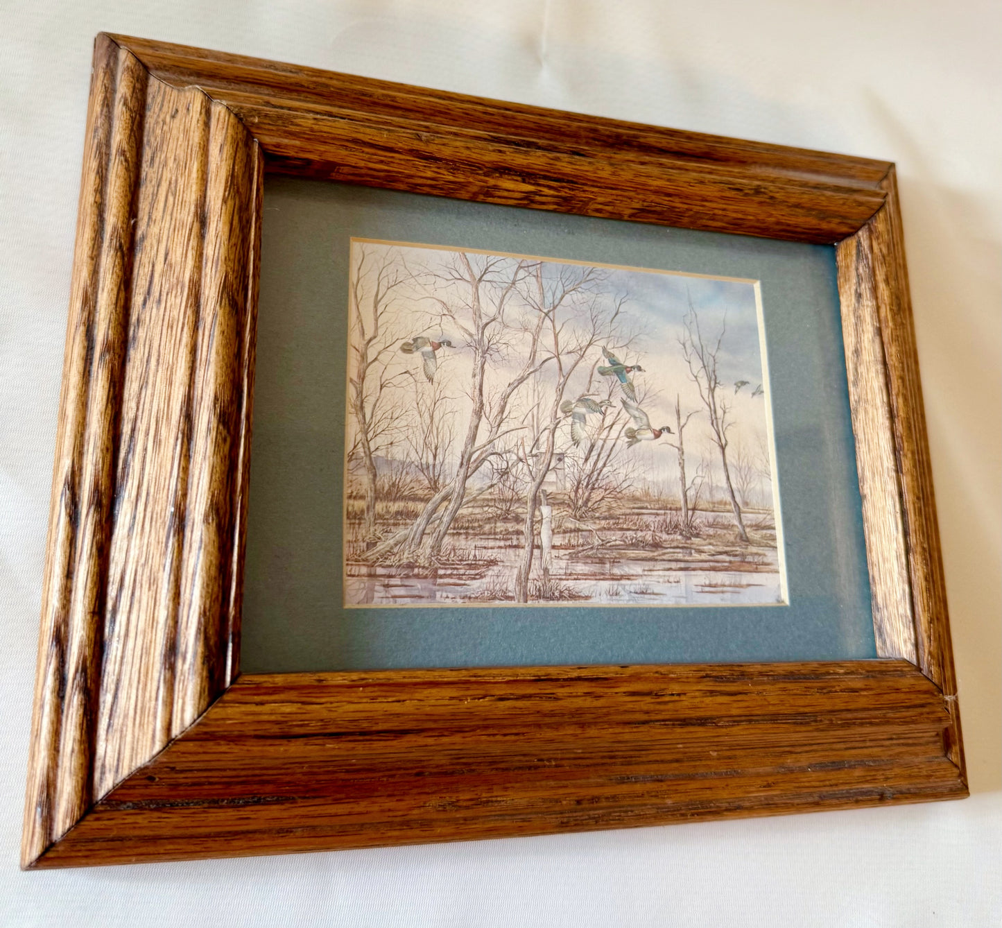 Mallards Framed Print