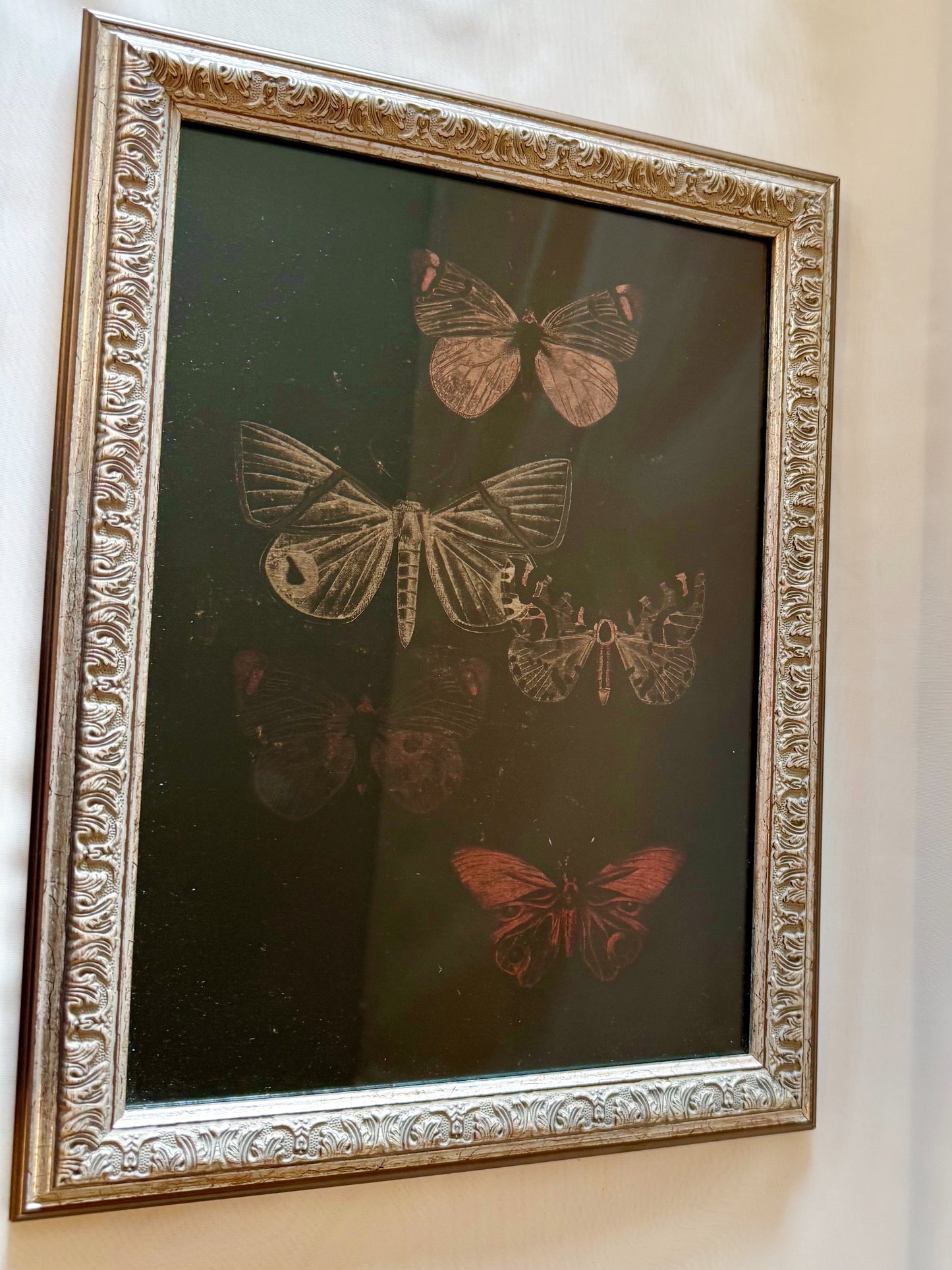 Dark Butterfly Art W/ Decorative Frame