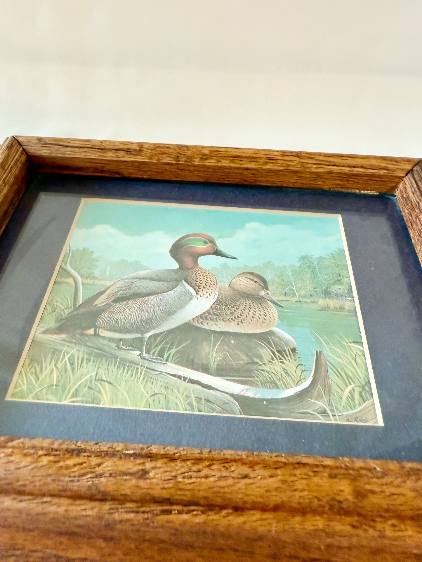 Mallad Ducks by Richard Sloan