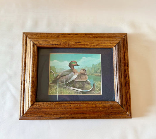 Mallad Ducks by Richard Sloan
