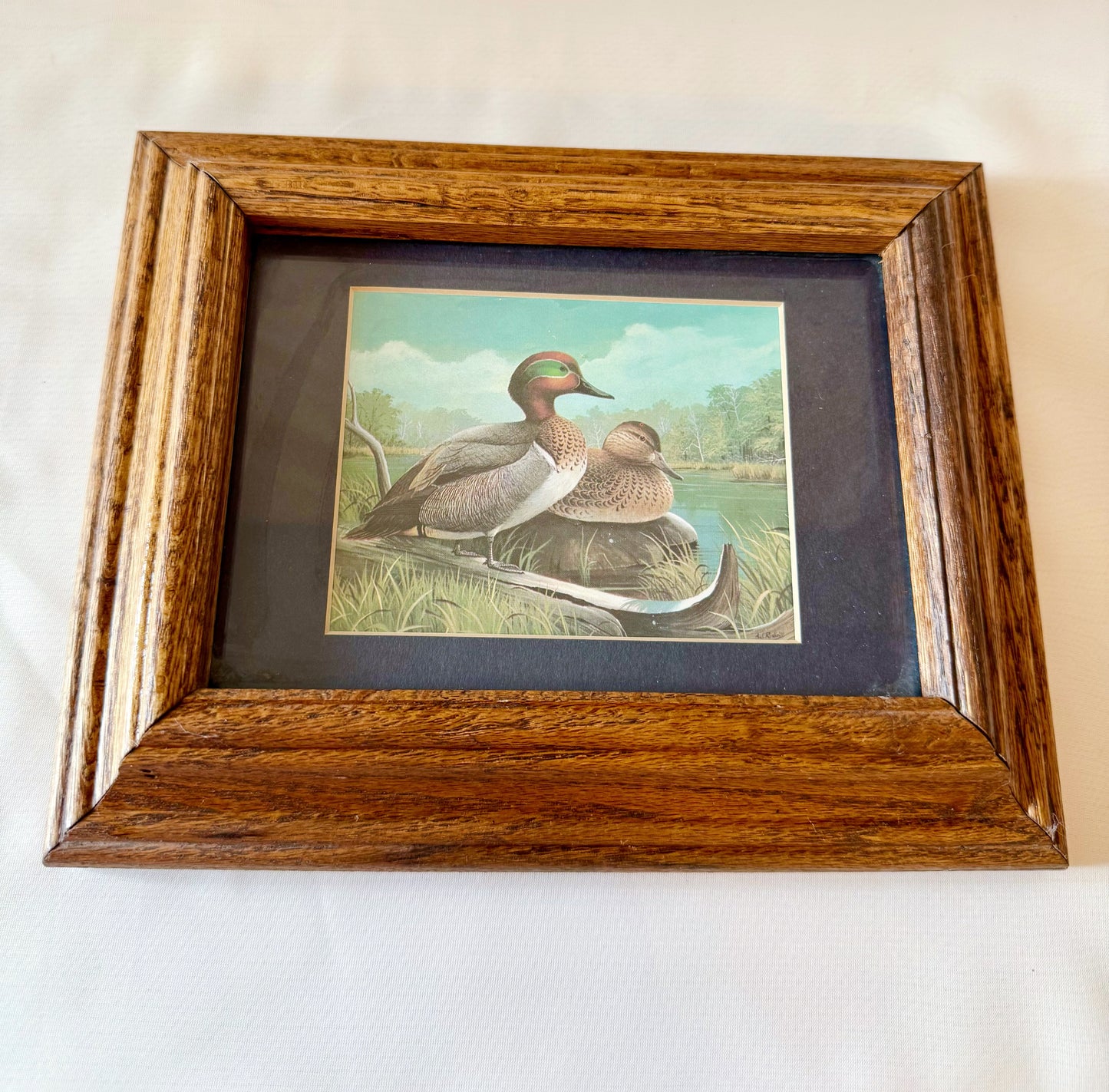 Mallad Ducks by Richard Sloan