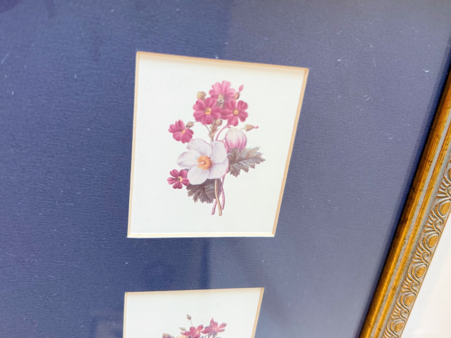 Framed & Matted Florals in Brass Frame
