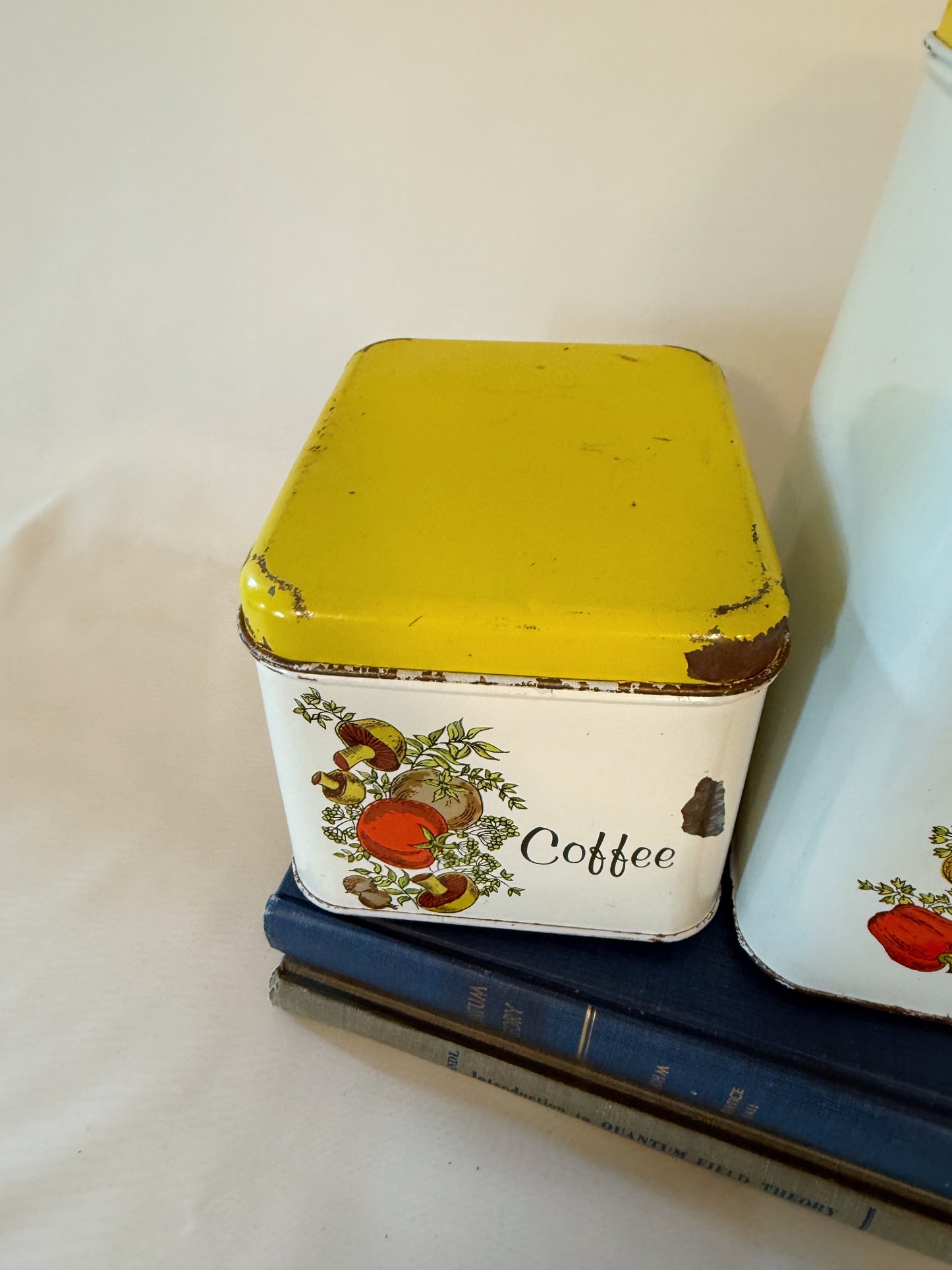 Set of 3 Cheinco Spice of Life Metal Kitchen Canister Set