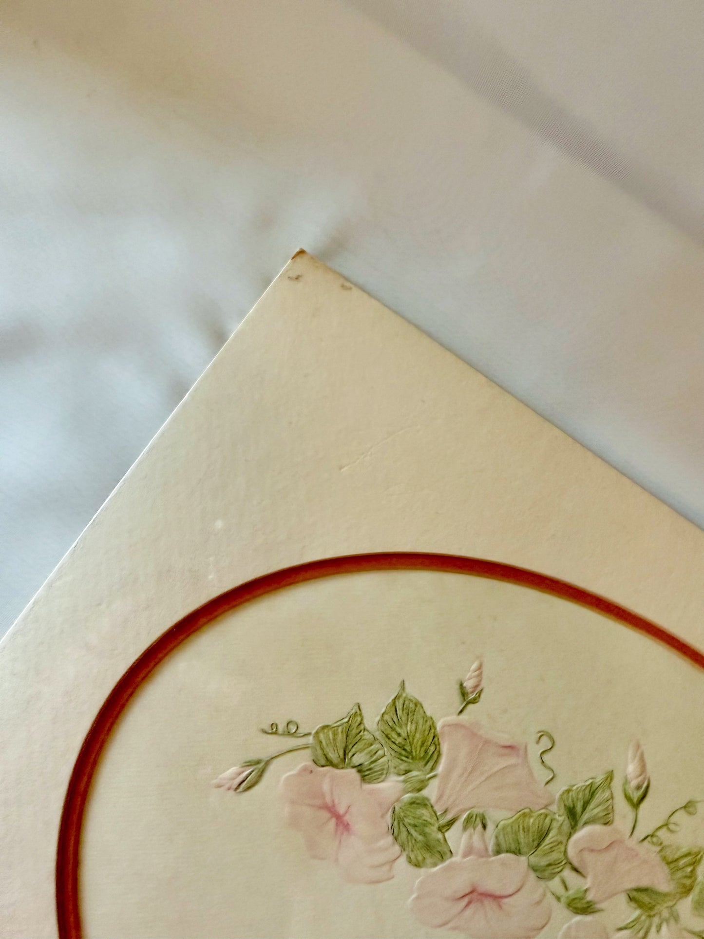 Oval Matted Hummingbird Portrait