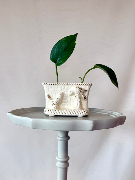 Plant life with a Ceramic Bird Planter | Local Pickup Only