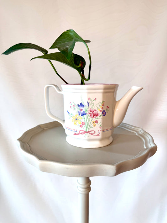 Plant Life in a Teapot | Local Pickup only
