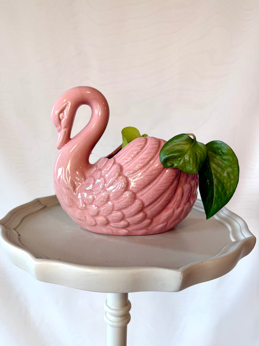 Plant life in Swan Planter | Local Pickup Only