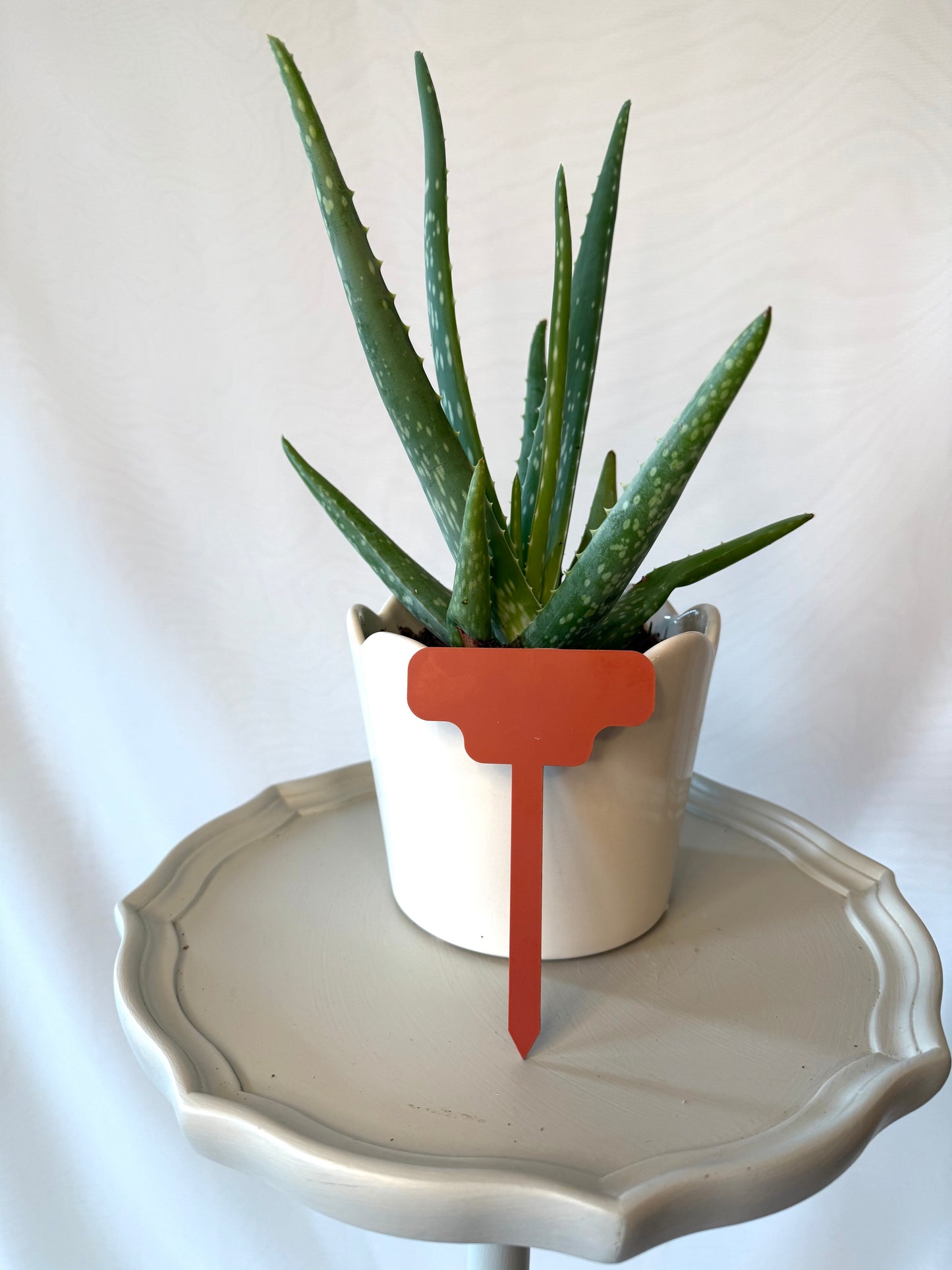 You Grow Girl Acrylic Plant Marker