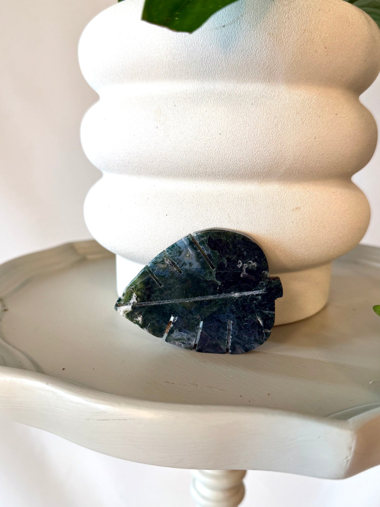 Moss Agate Crystal Plant Leaf