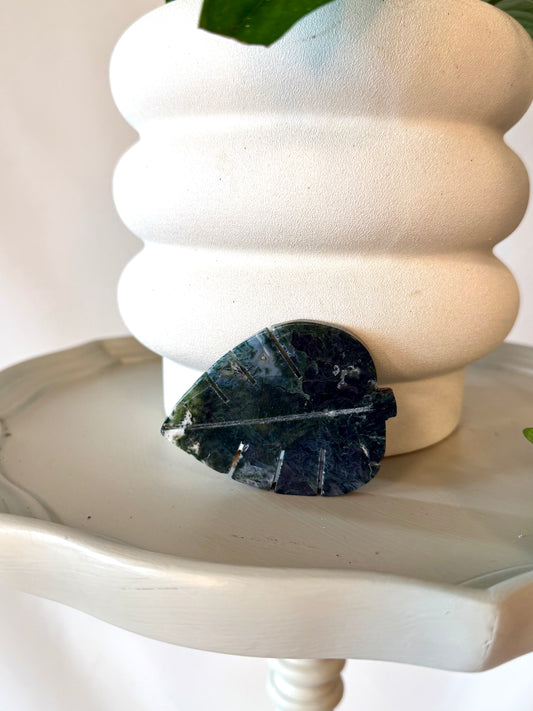 Moss Agate Crystal Plant Leaf