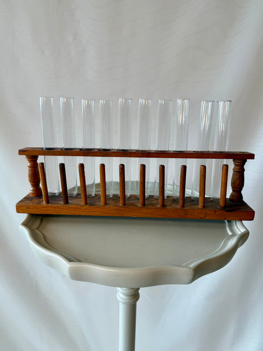 Vintage Chemistry Glass Test Tube Lab Set | Great for Propagations!