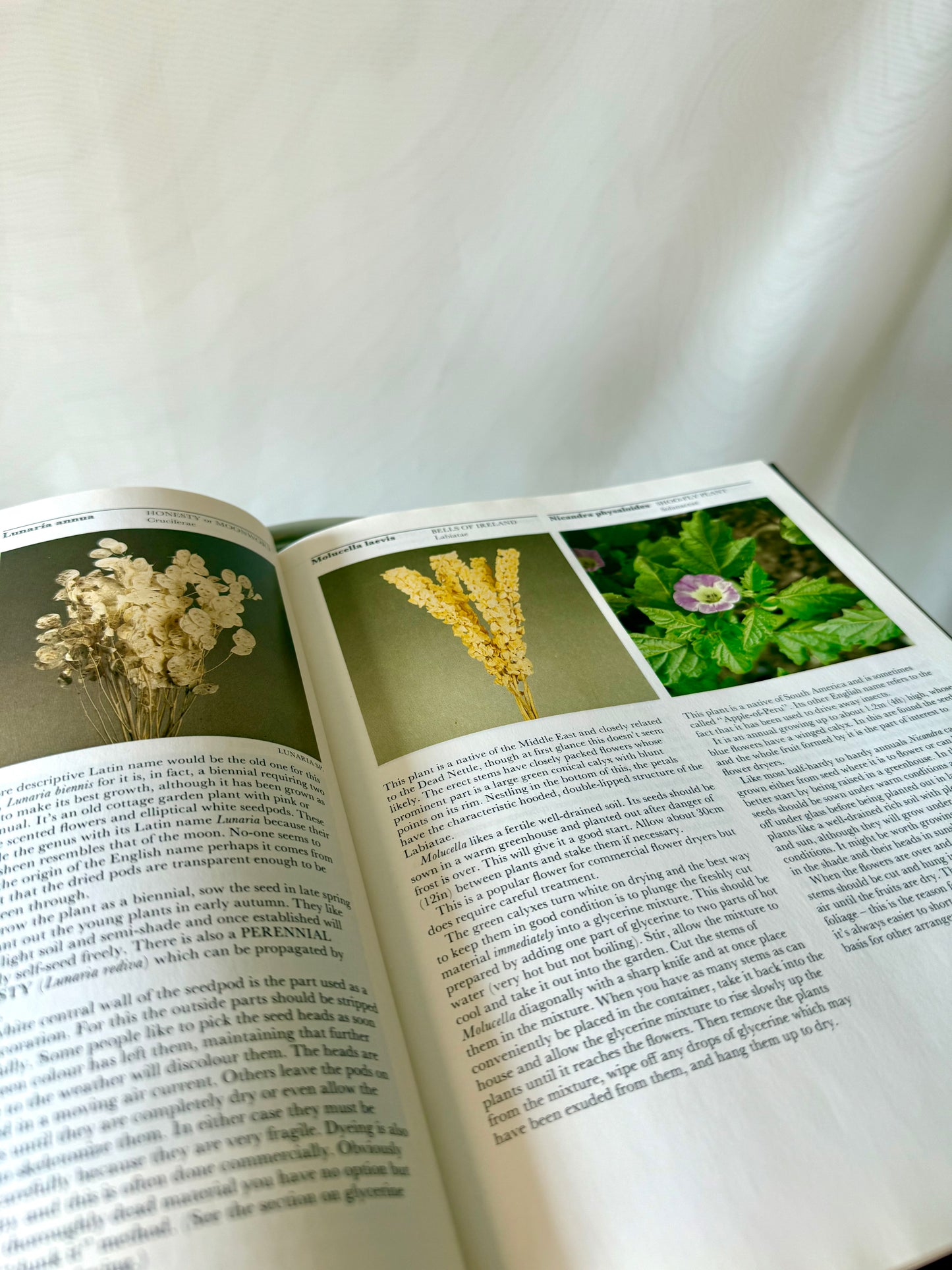 Flowers | Growing, Drying, Preserving Guide