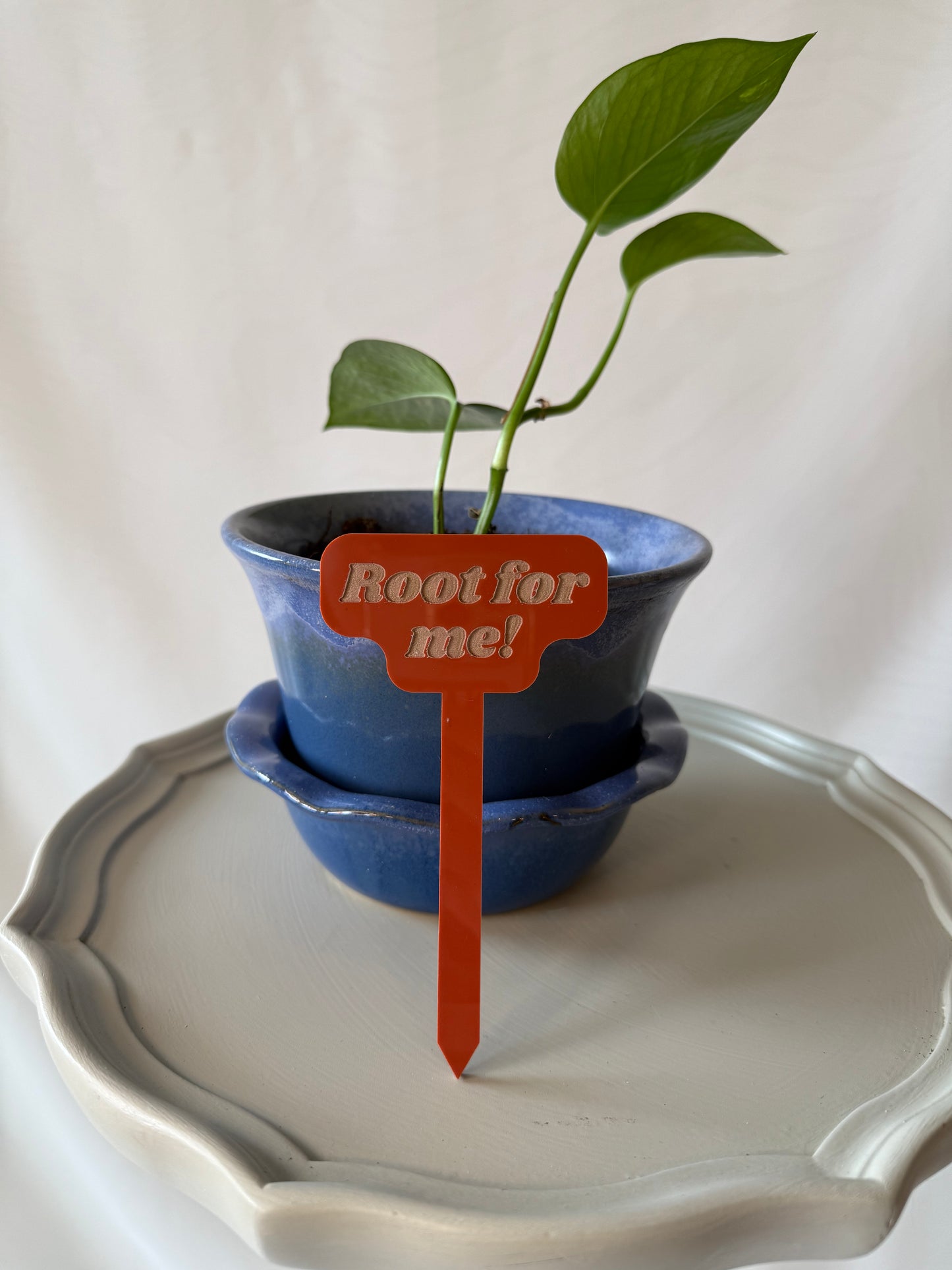 Root For Me! Acrylic Plant Marker