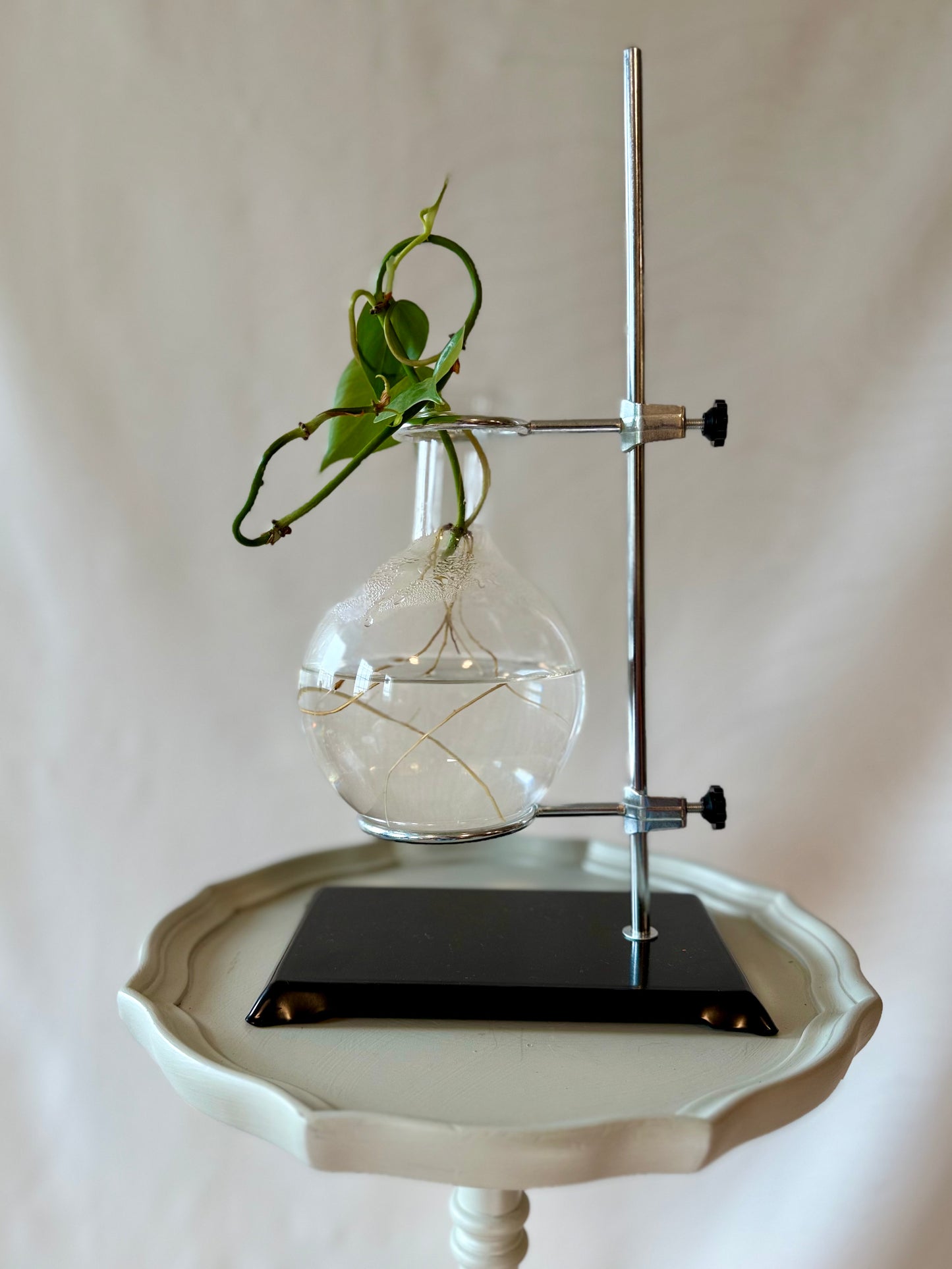 Vintage Chemistry Flask & Stand