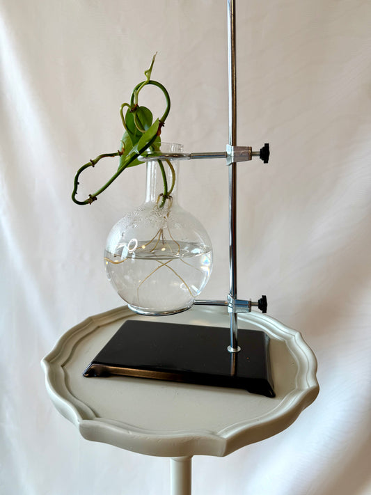 Vintage Chemistry Flask & Stand