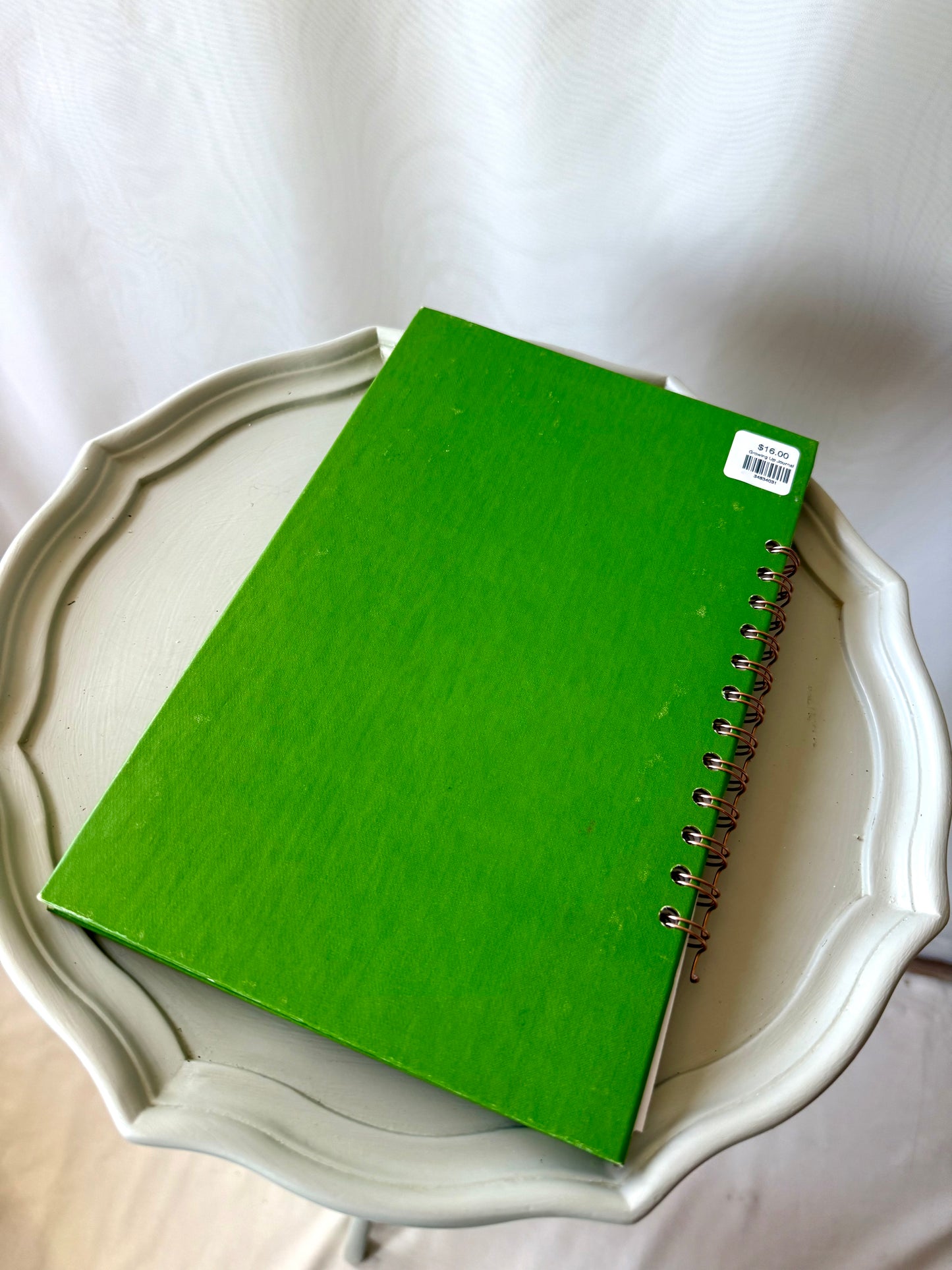 Guideposts for Growing Up Blank Journal