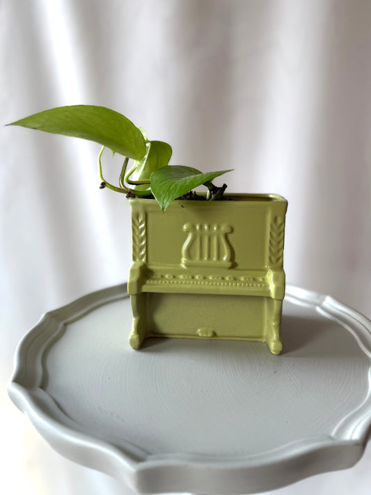 Plant life with a Green Piano Planter | Local Pickup Only