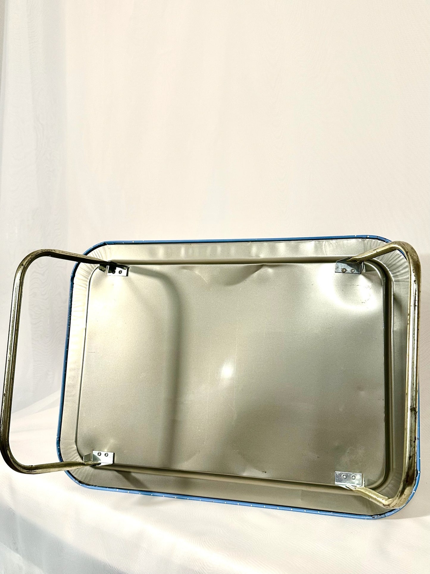 Blue Country Goose Metal Serving Tray