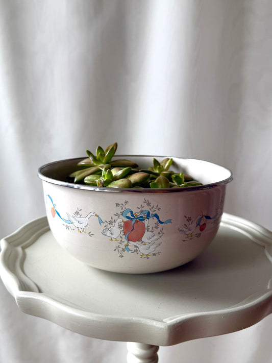 Plant Life in Goose Enamel Pot | Local Pickup Only