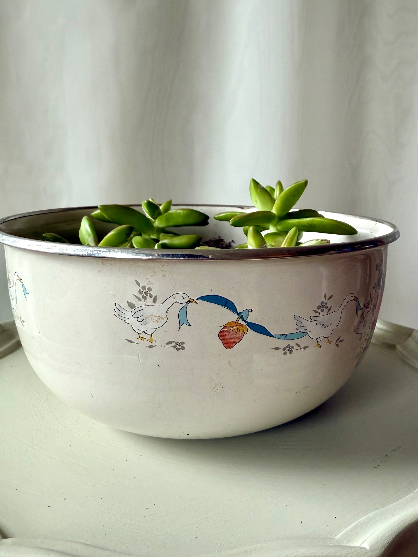 Plant Life in Goose Enamel Pot | Local Pickup Only