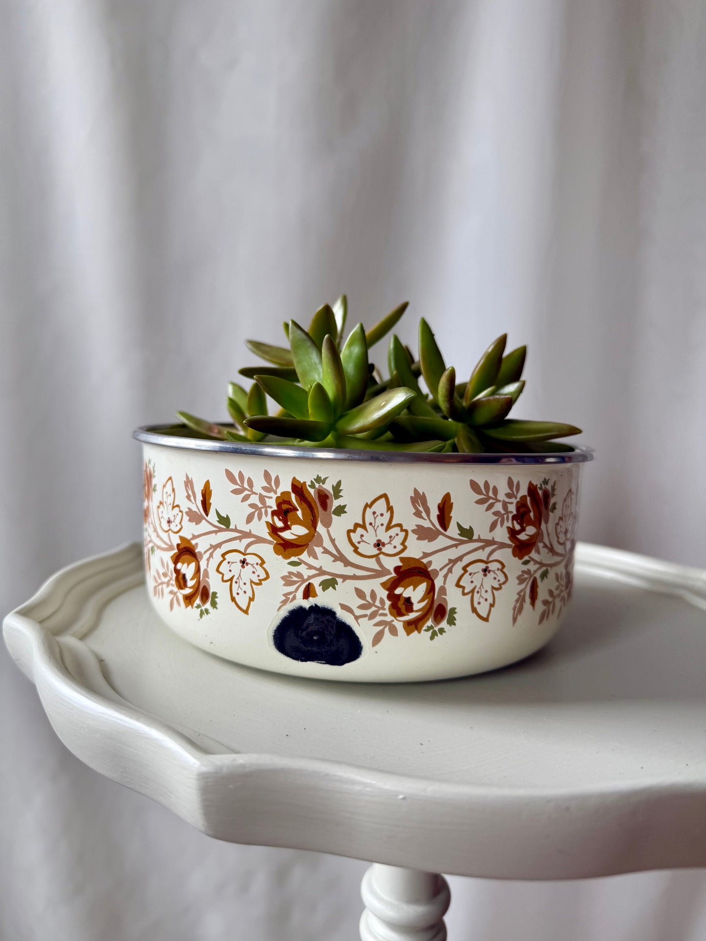Plant Life in Enamel Pot | Local Pickup Only