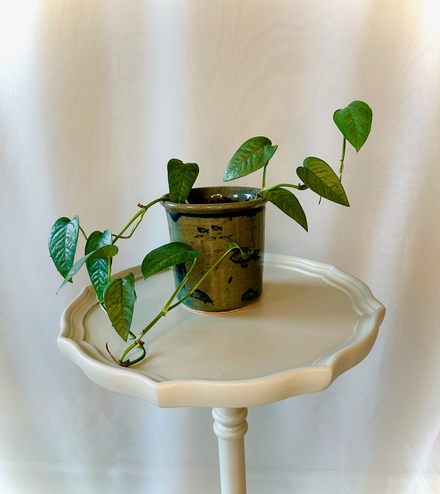 Plant Life in Handmade Ceramic Sealife Pot | Local Pickup Only