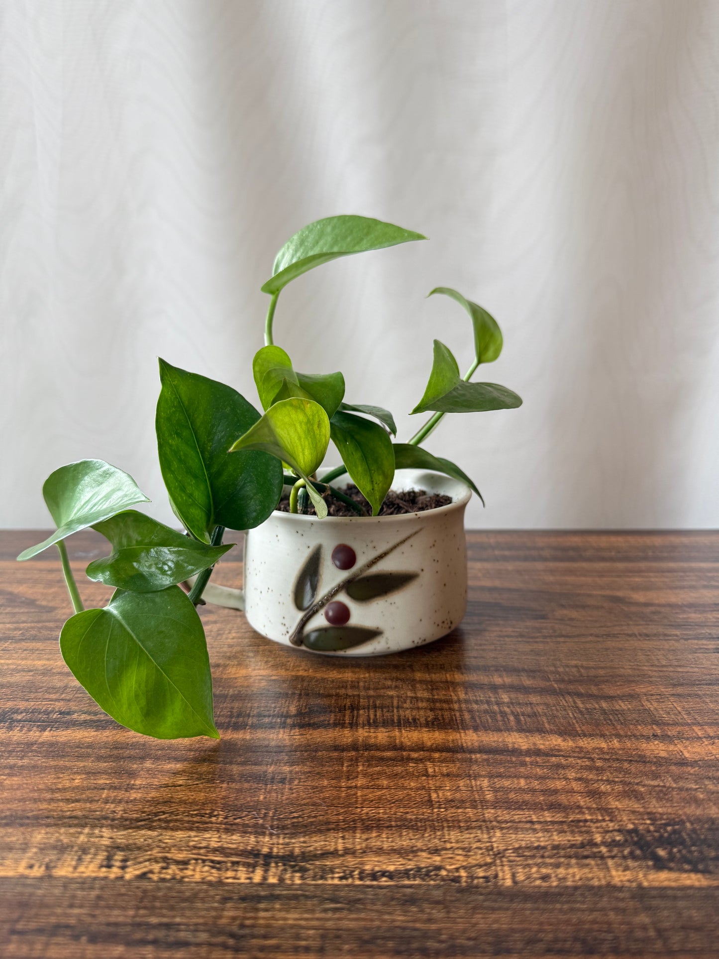 Plant Life in Midcentury Stoneware | Local Pickup Only