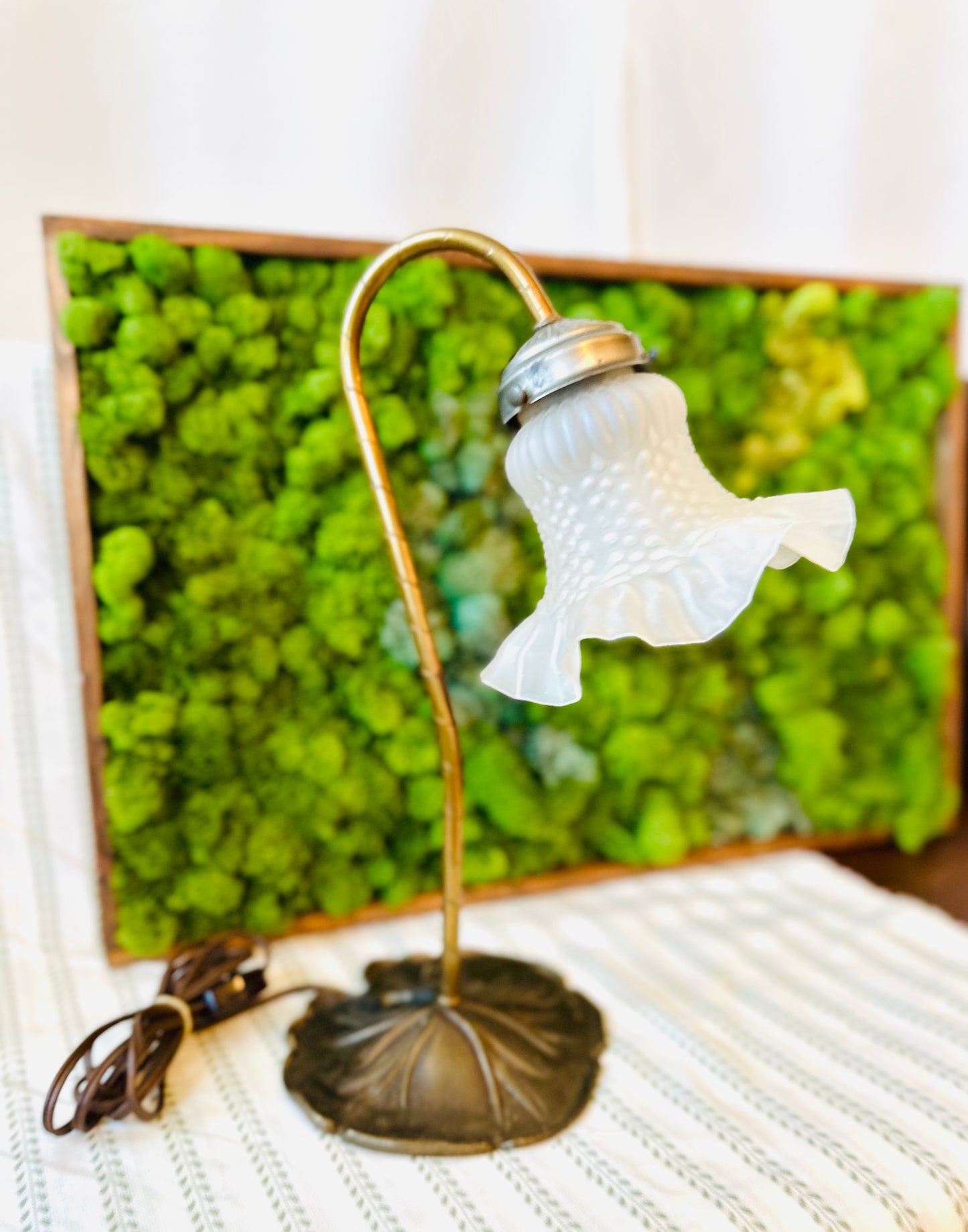 Lillypad Lamp