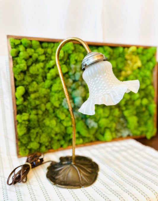 Lillypad Lamp