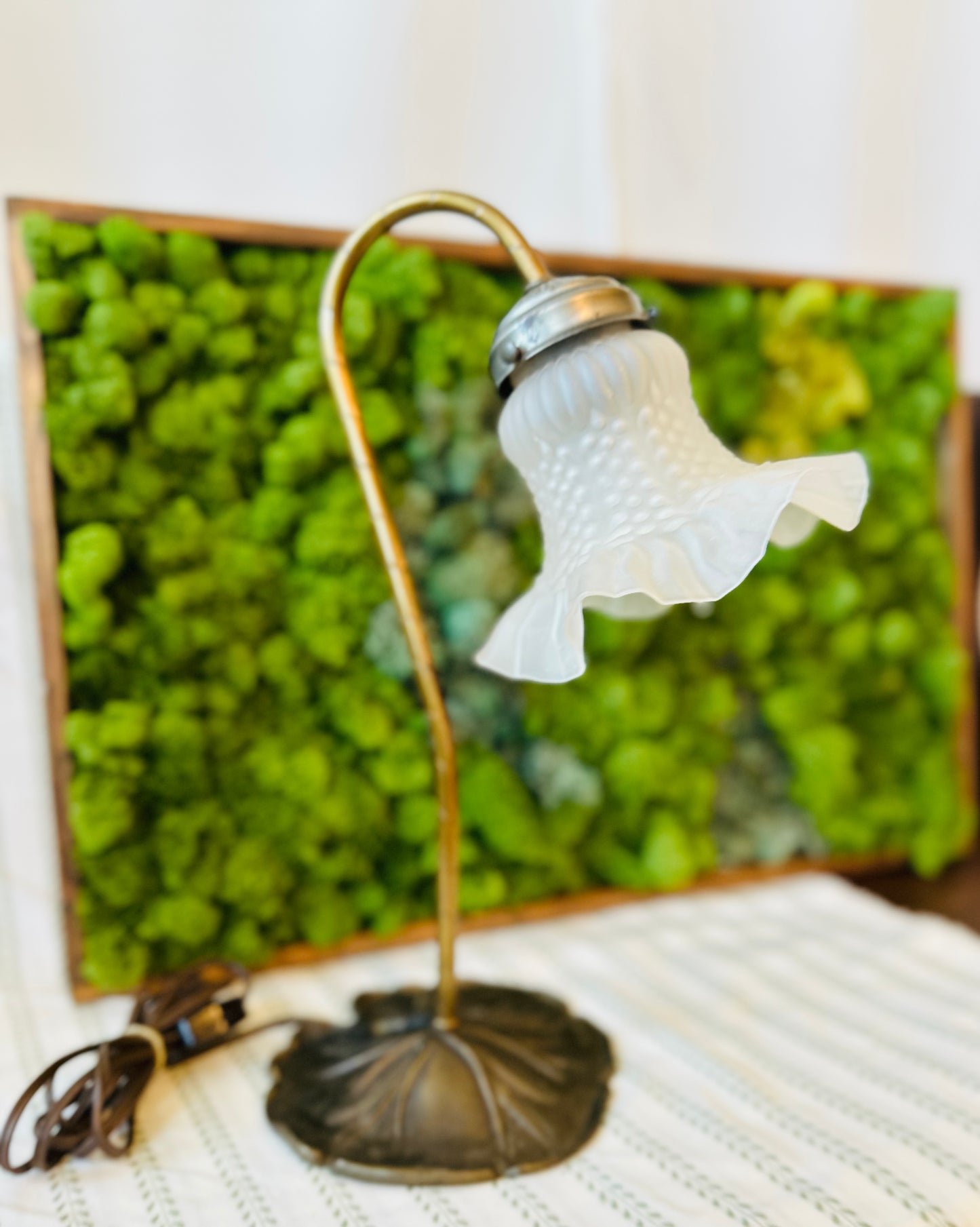 Lillypad Lamp