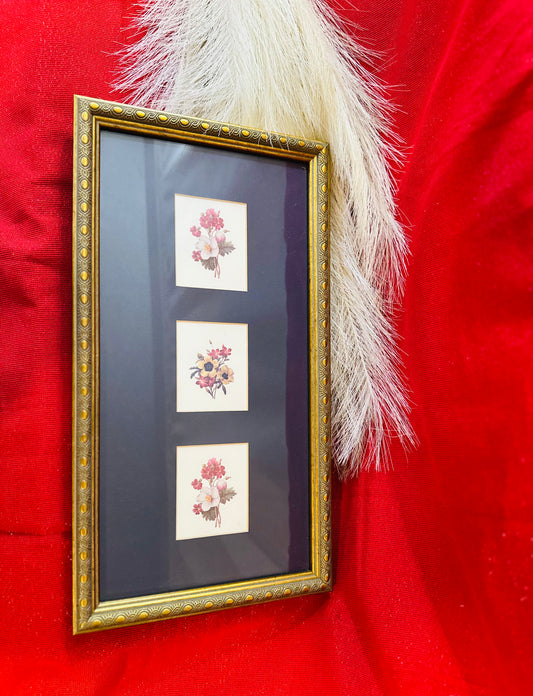 Framed & Matted Florals in Brass Frame