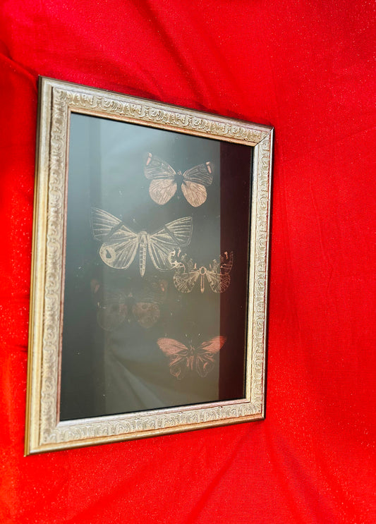 Dark Butterfly Art W/ Decorative Frame