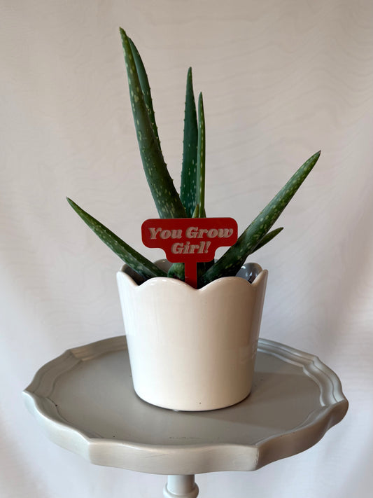You Grow Girl Acrylic Plant Marker