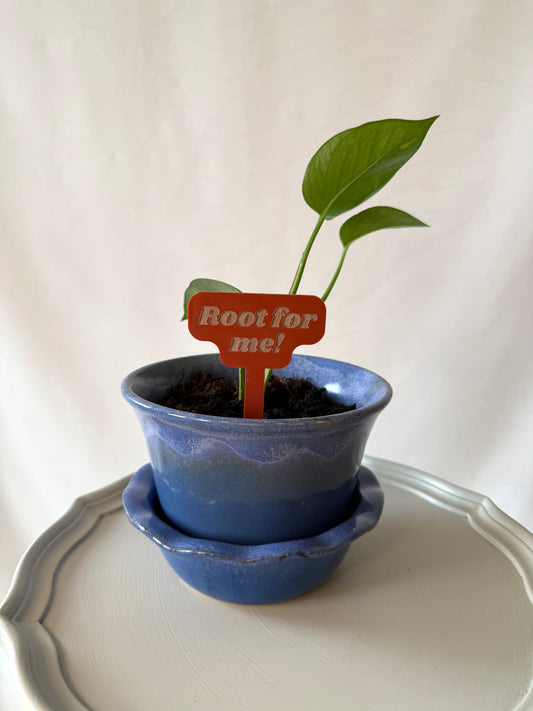 Root For Me! Acrylic Plant Marker