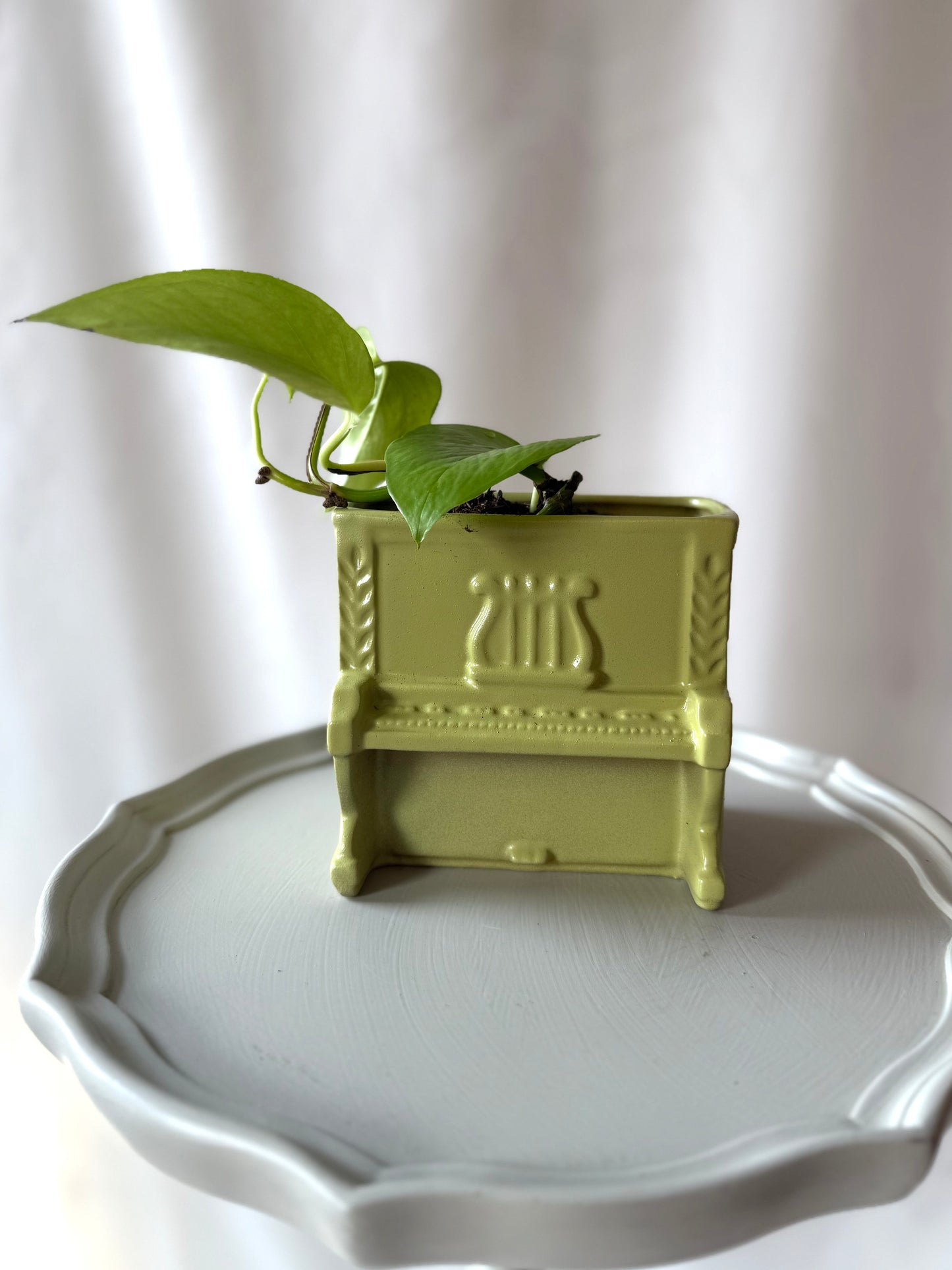 Plant life with a Green Piano Planter | Local Pickup Only