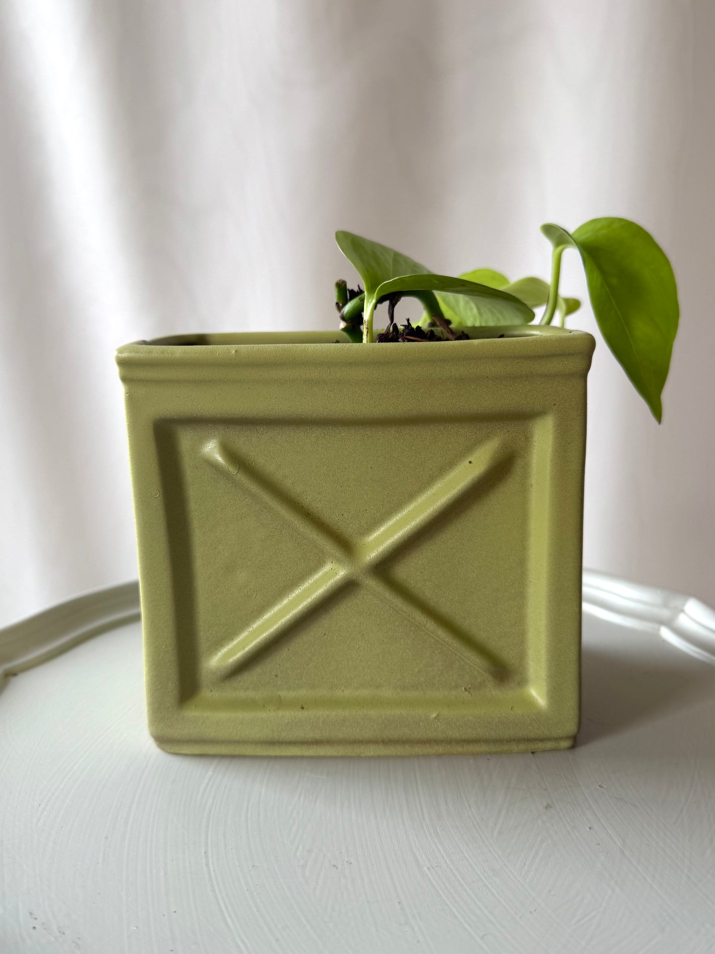 Plant life with a Green Piano Planter | Local Pickup Only
